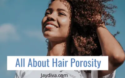 HAIR POROSITY – All You Need To Know | Jaydiva