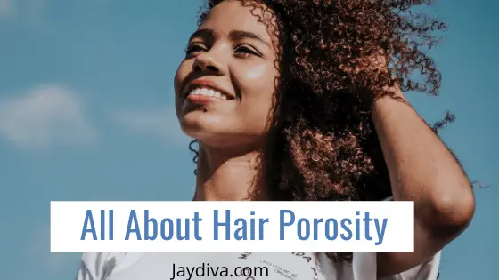 HAIR POROSITY – All You Need To Know | Jaydiva