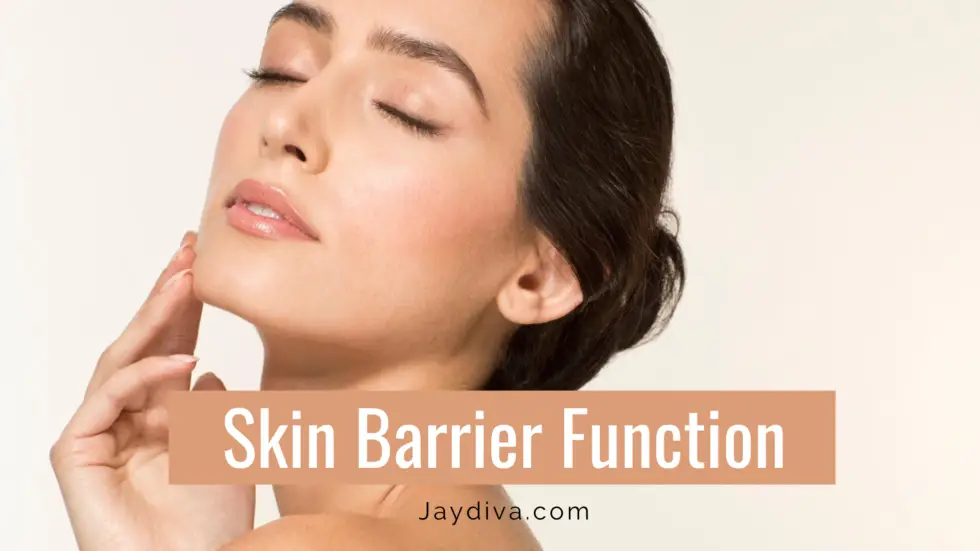 The Skin Barrier - How To Repair A Damaged Skin Barrier