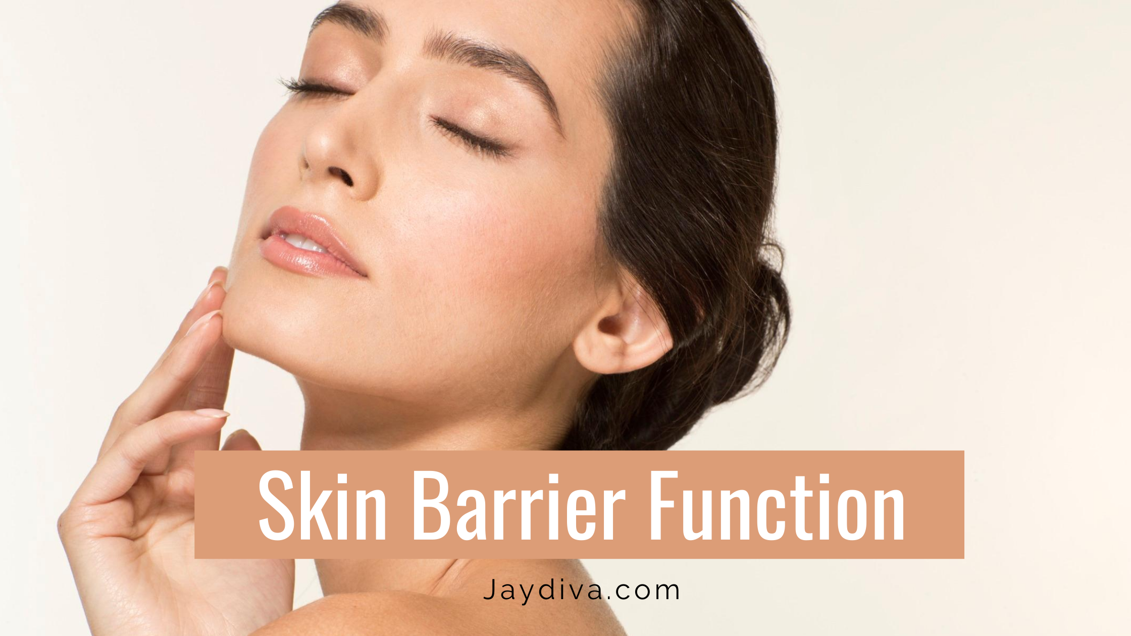 The Skin Barrier - How To Repair A Damaged Skin Barrier